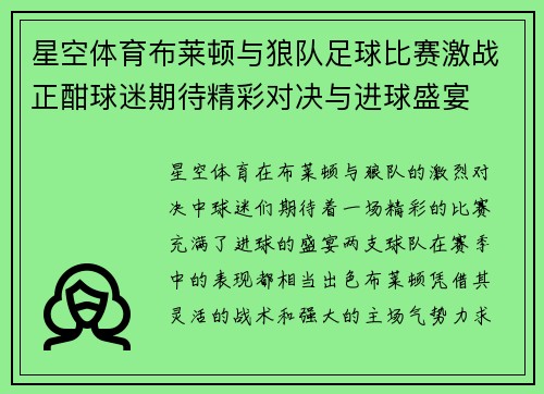 星空体育布莱顿与狼队足球比赛激战正酣球迷期待精彩对决与进球盛宴