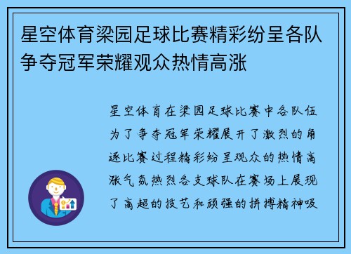 星空体育梁园足球比赛精彩纷呈各队争夺冠军荣耀观众热情高涨