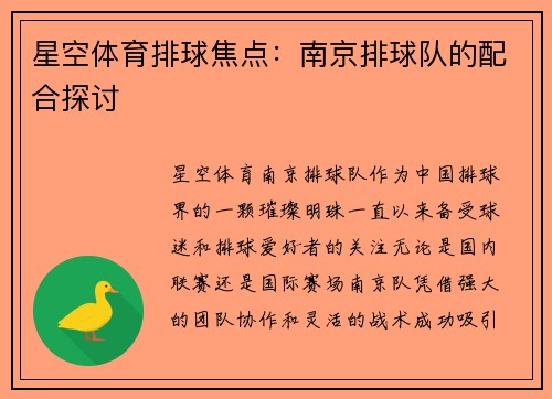 星空体育排球焦点：南京排球队的配合探讨